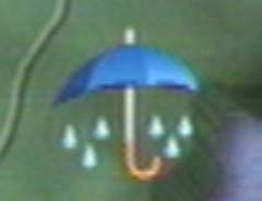 礷Ƥߤ